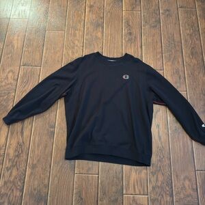 Regular champion sweater